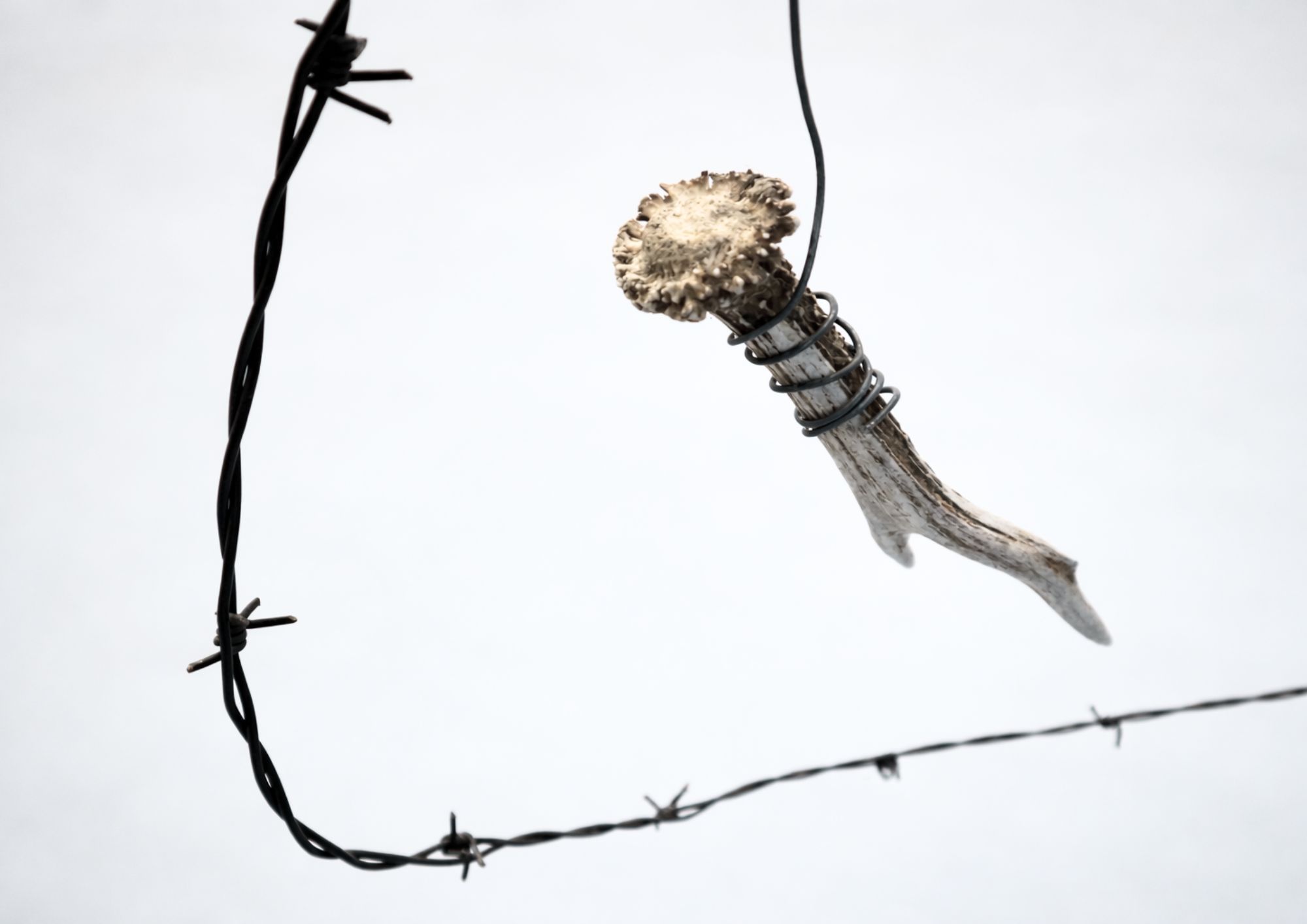 changer%20les%20moutons%202%282%29